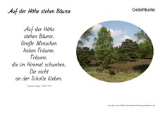Auf-der-Höhe-stehen-Bäume-Kempner.pdf
